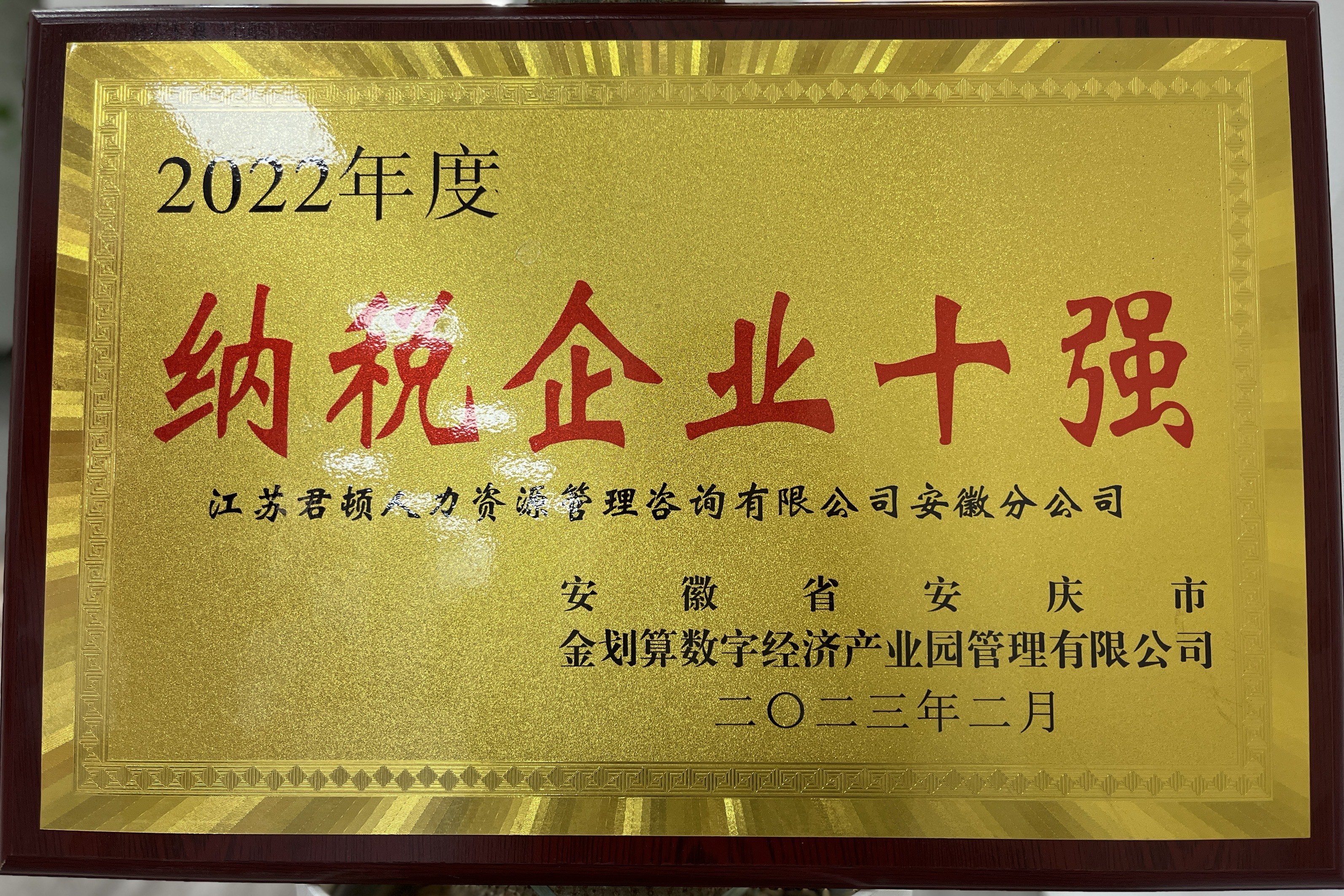 江苏君顿人力资源（安徽分公司）——纳税企业十强